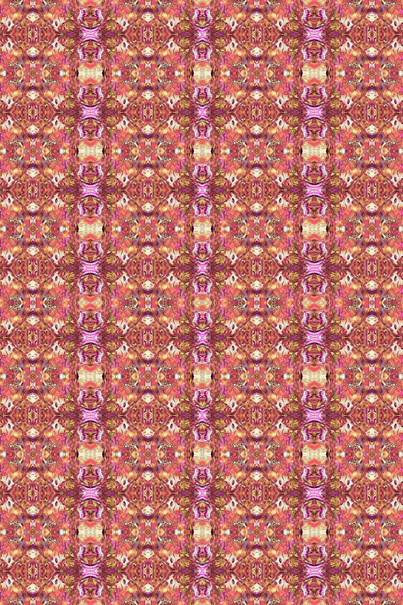 Rely's Carpet, Image 1.