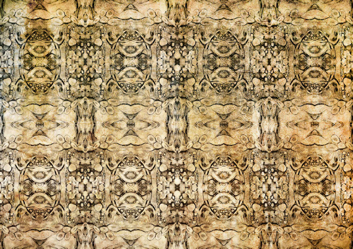 Scarabeus Cells, Image 2.