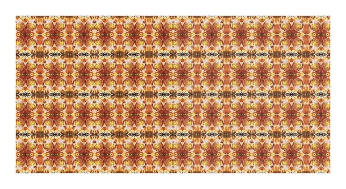 Spirits of the Forest, Image 2.