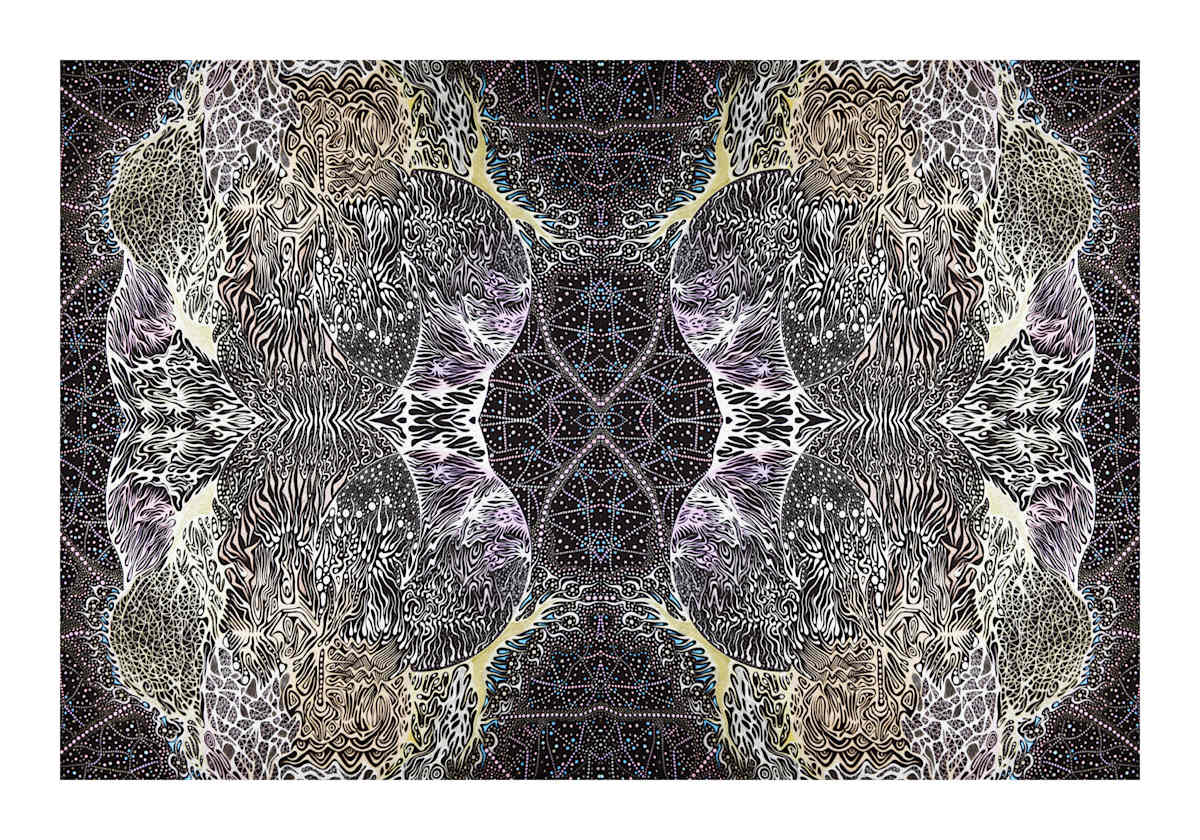 Star Tree 3, Image 2.