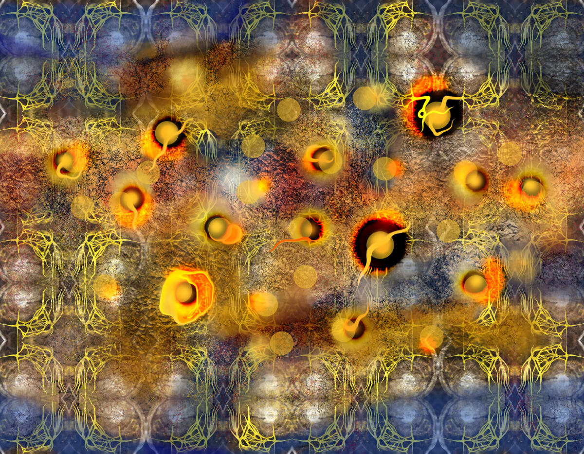 Stelle Orgoarchai, Image 1.