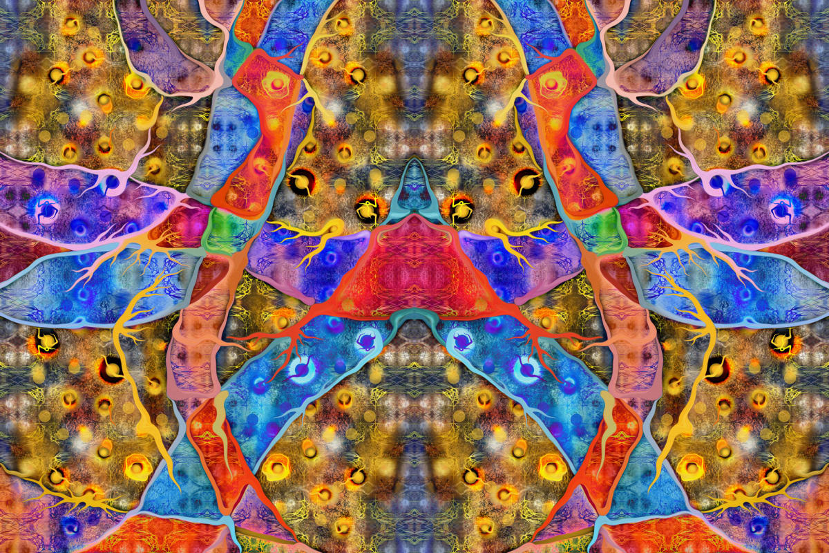 Stelle Orgoarchai Carpet by Vicky Scher 