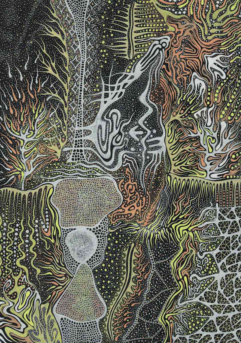 Still 3113, Image 1.