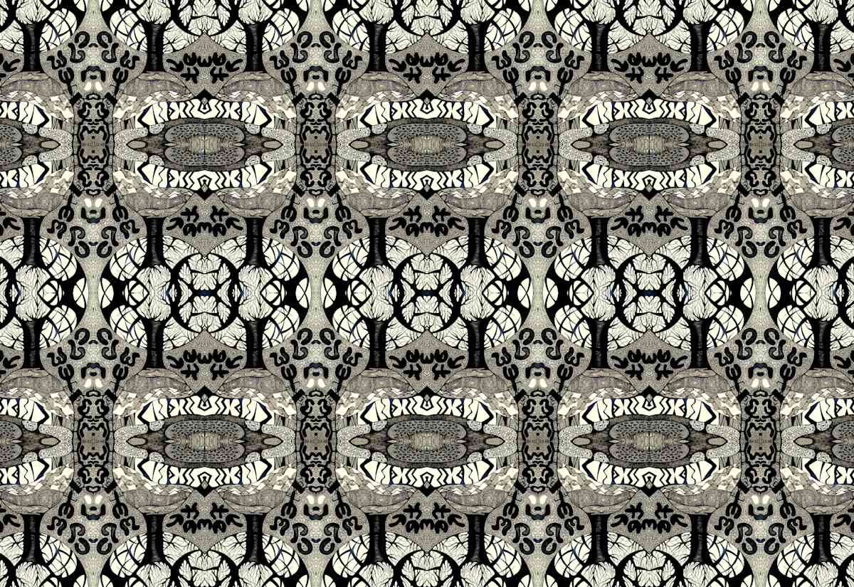 Support 3, Image 2.