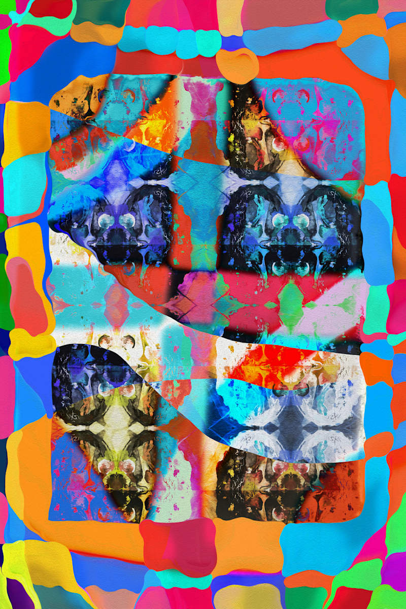The November Session 2, Image 3.