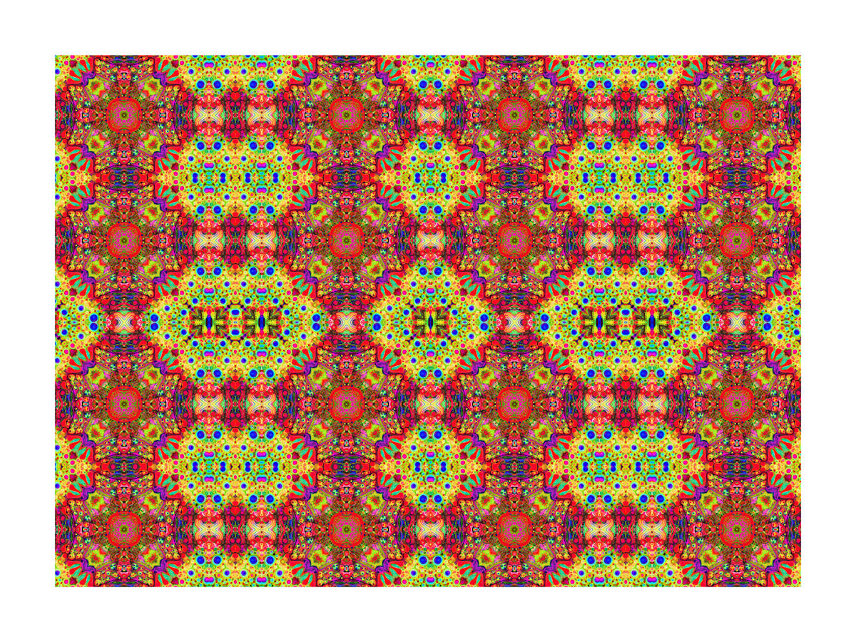 The Precious Tissue, Image 2.