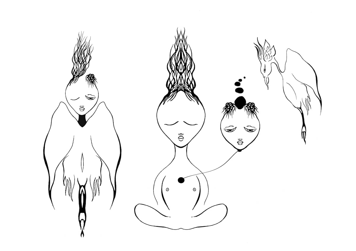 Understanding Birds, Image 1.