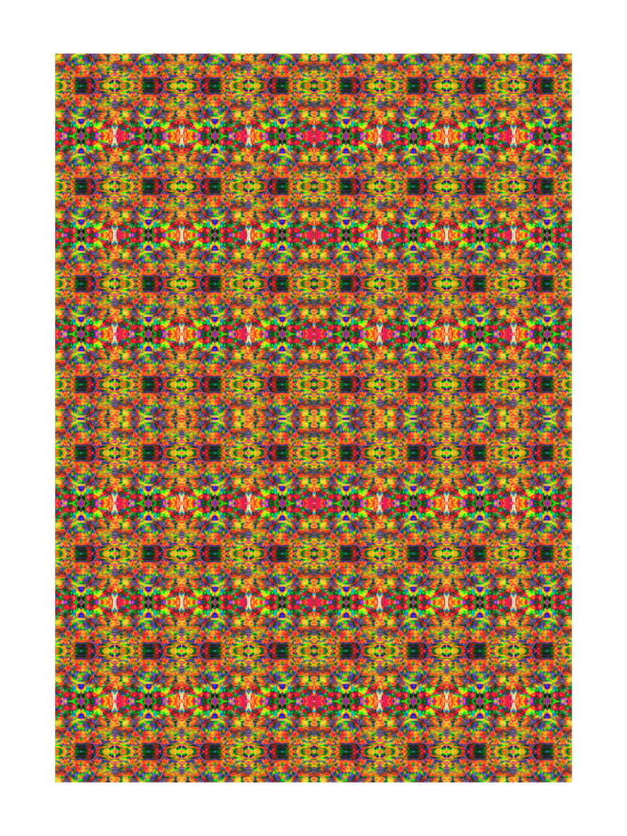 Wise Seeds Carpet 