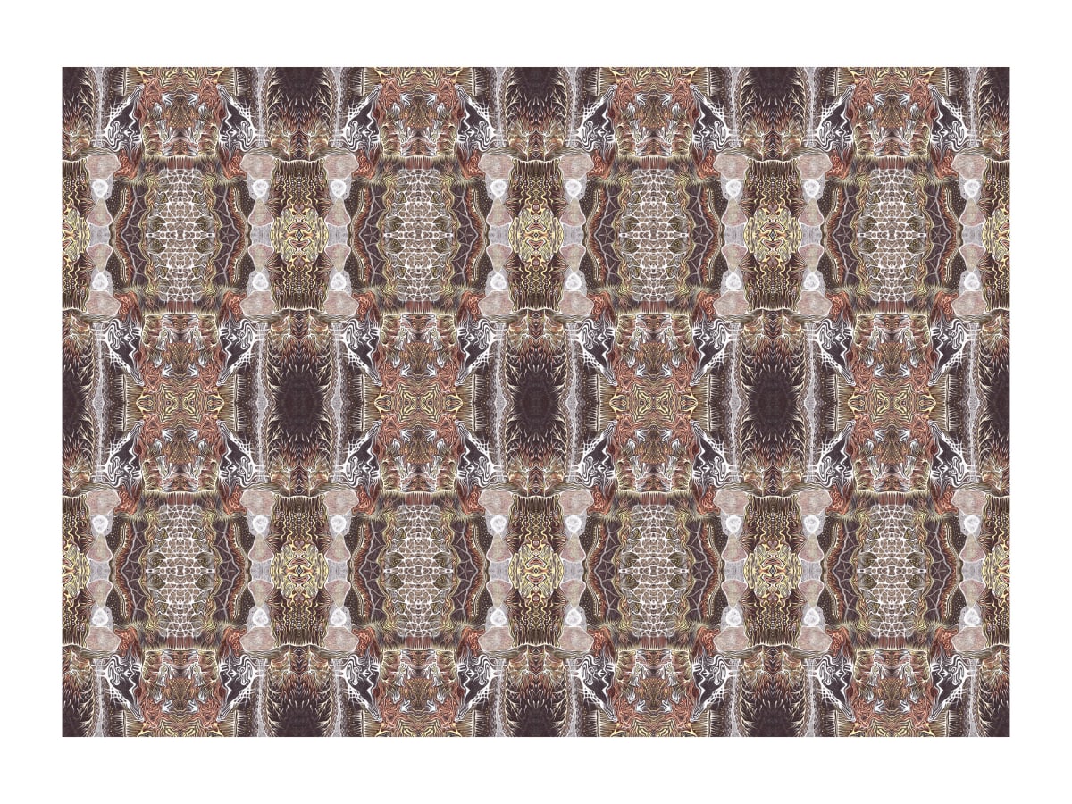 Wise Shields Carpet 