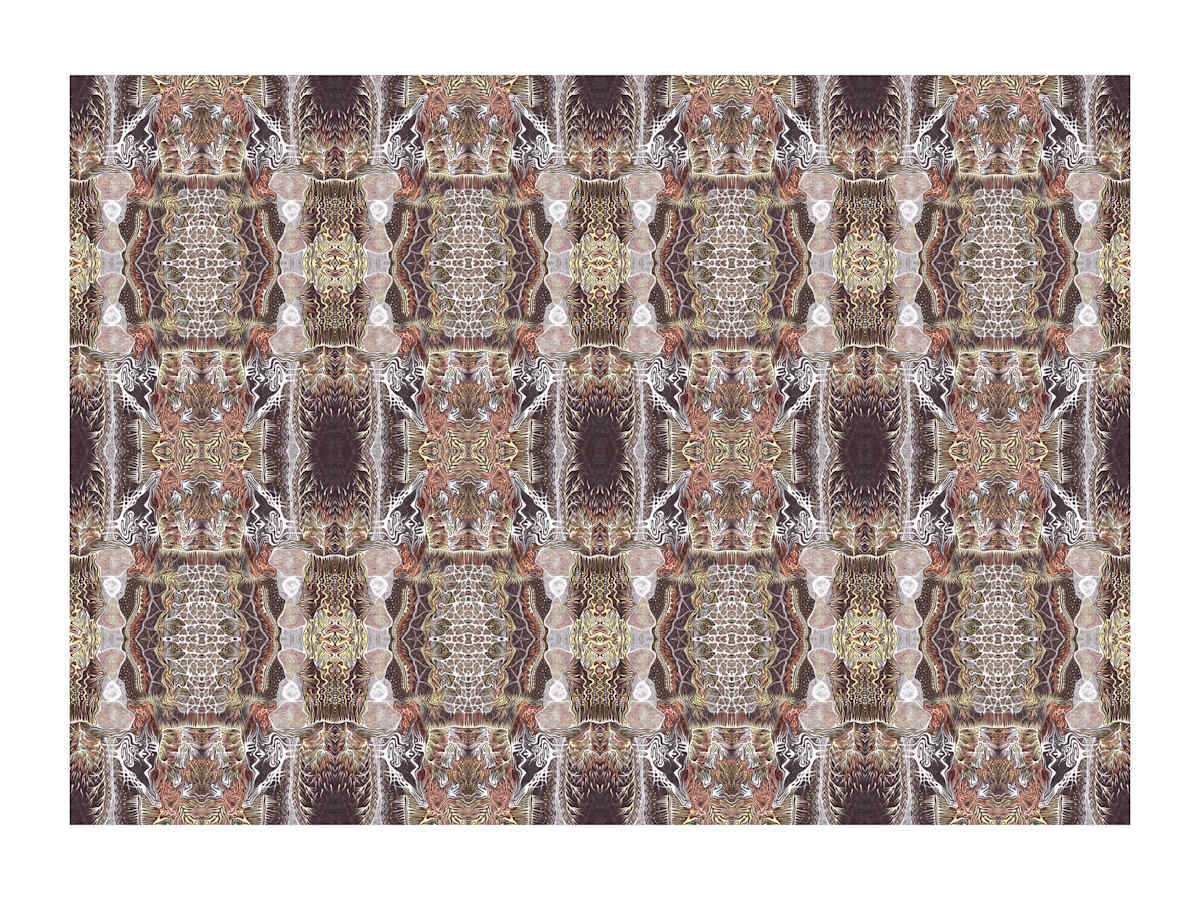 Wise Shields Carpet, Image 2.
