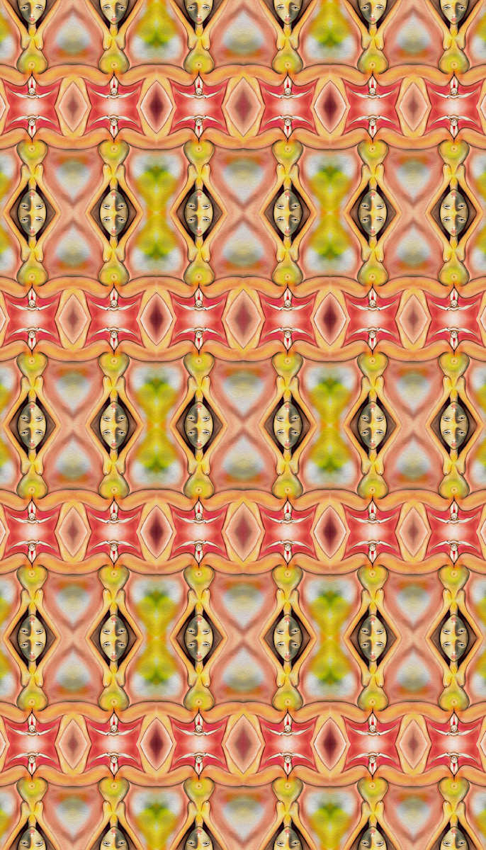 Xonya 1 Carpet, Image 2.