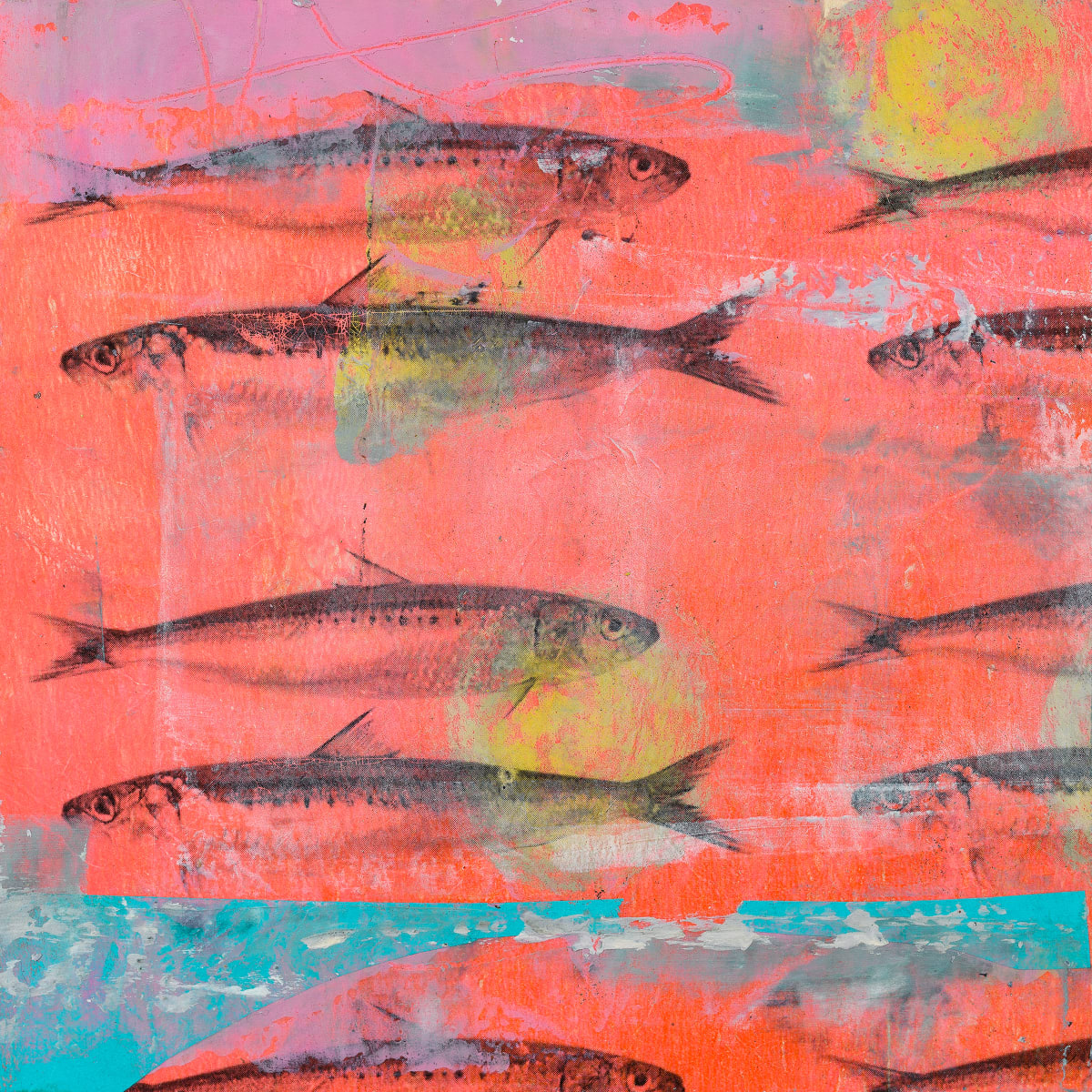 Neon School - Sardines in Apricot by Christina Lovisa 