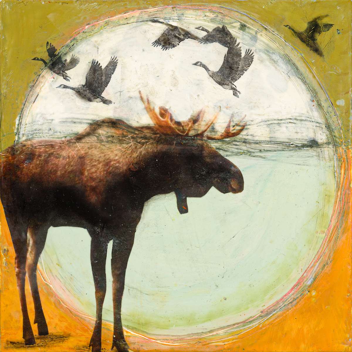 Northern Parade by Christina Lovisa, Image 6.