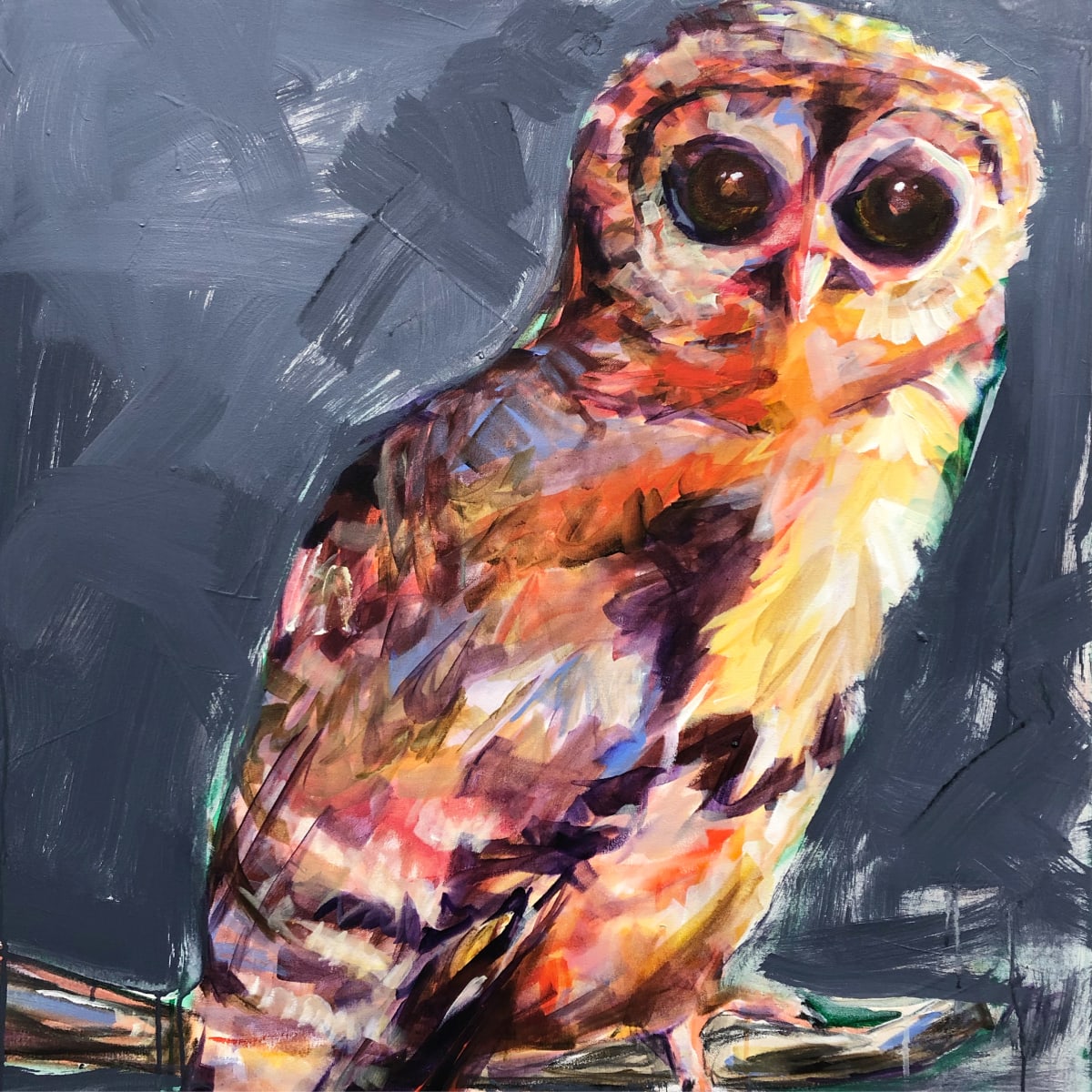 Close Up: What Big Eyes You Have by Shelley Helms Fleishman 