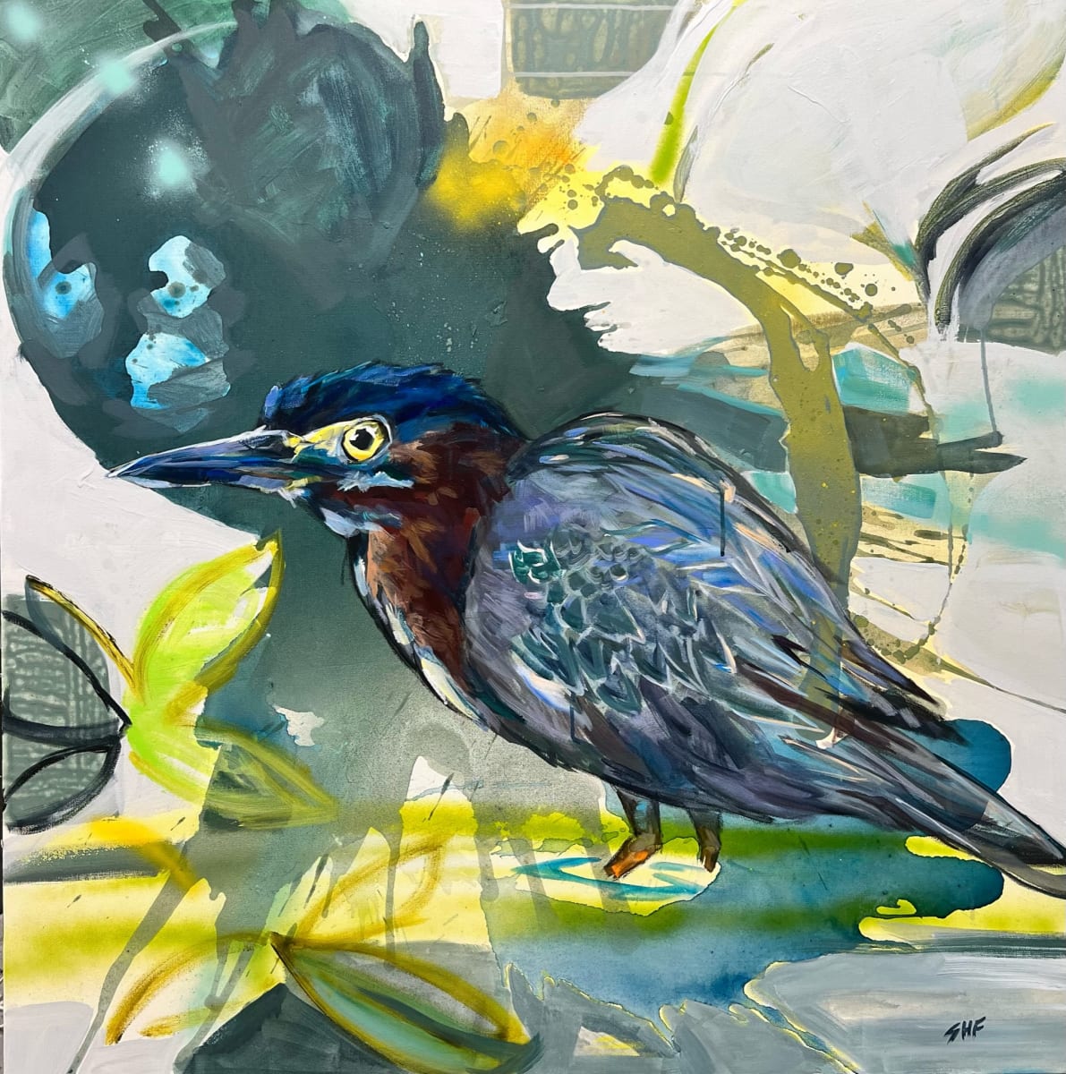 Bashful by Shelley Helms Fleishman 