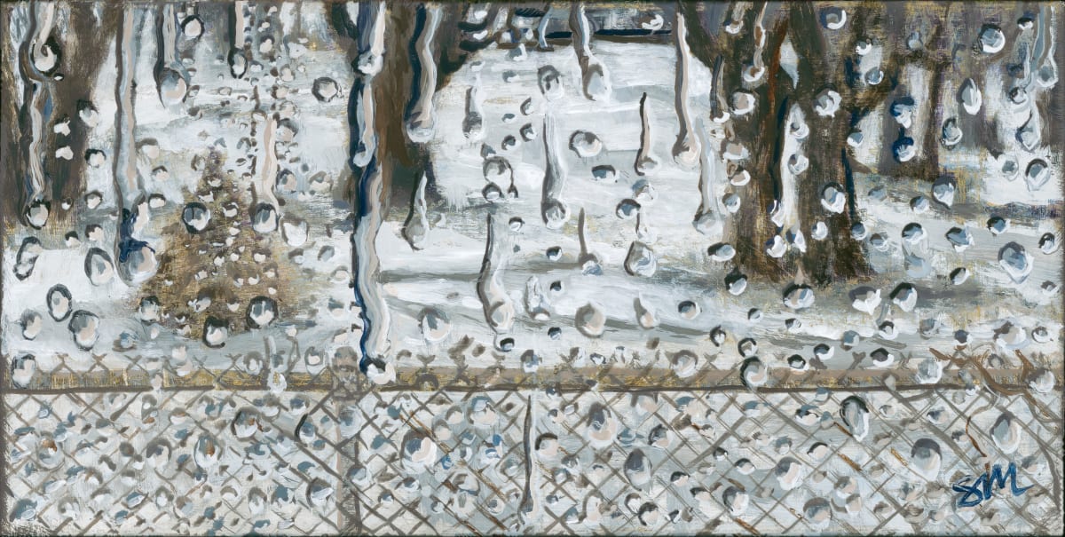 Back Window - While Spring Sleeps by Steve Miller 