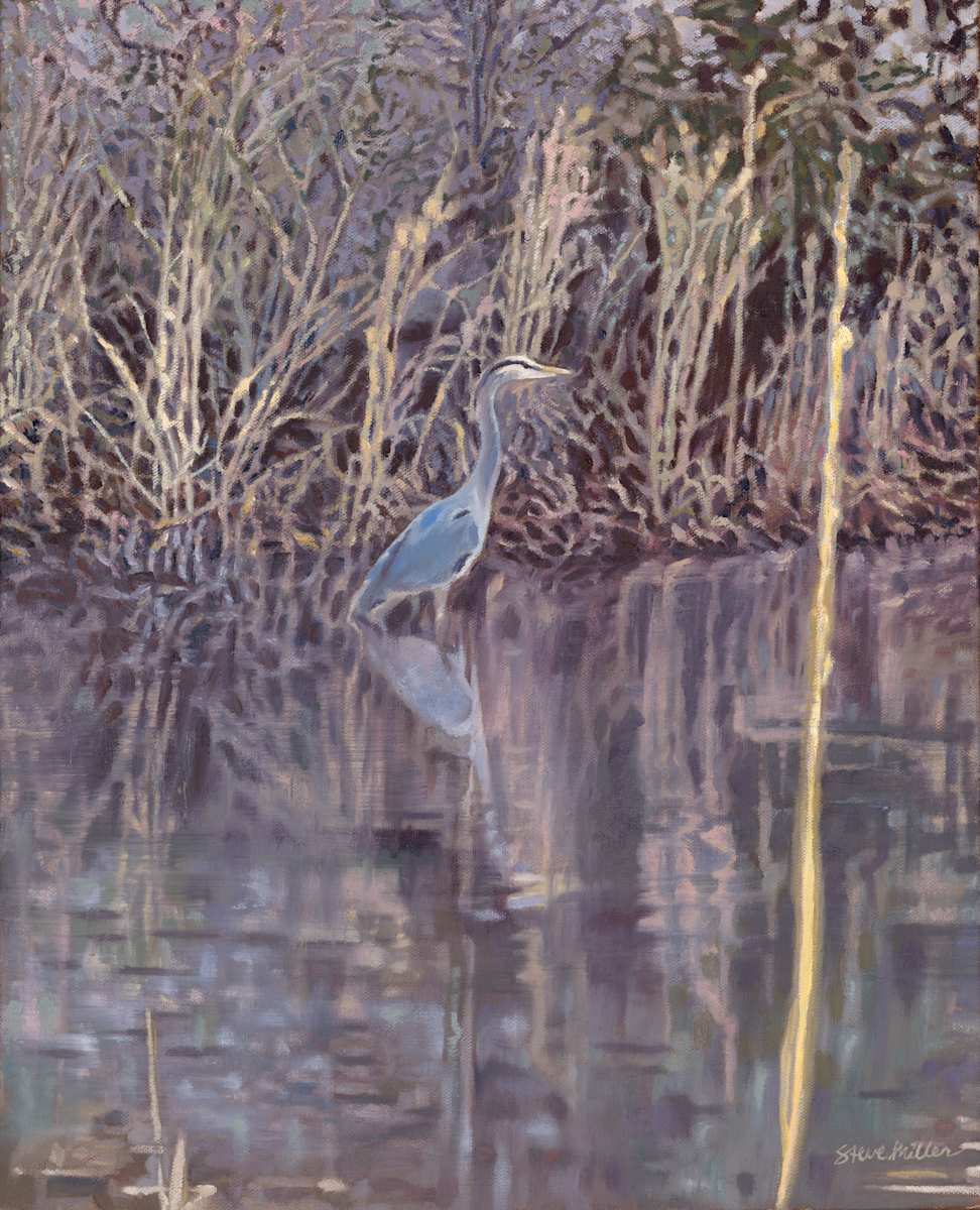 Heron on the Pond by Steve Miller 