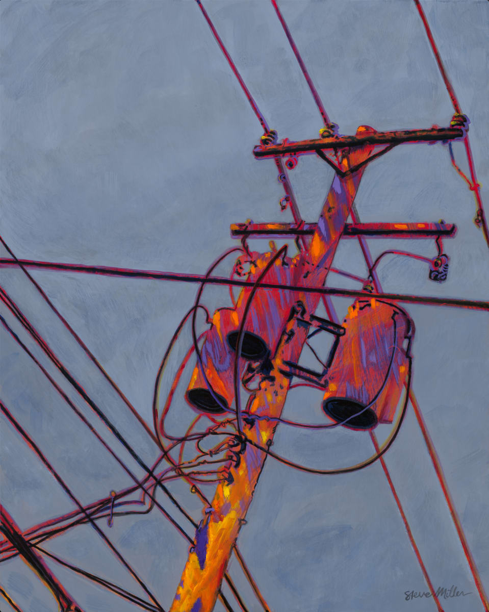 Electric Pole by Steve Miller 