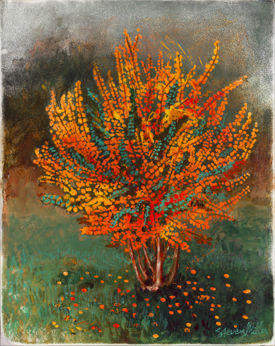 Lynne's Crape Myrtle by Steve Miller 