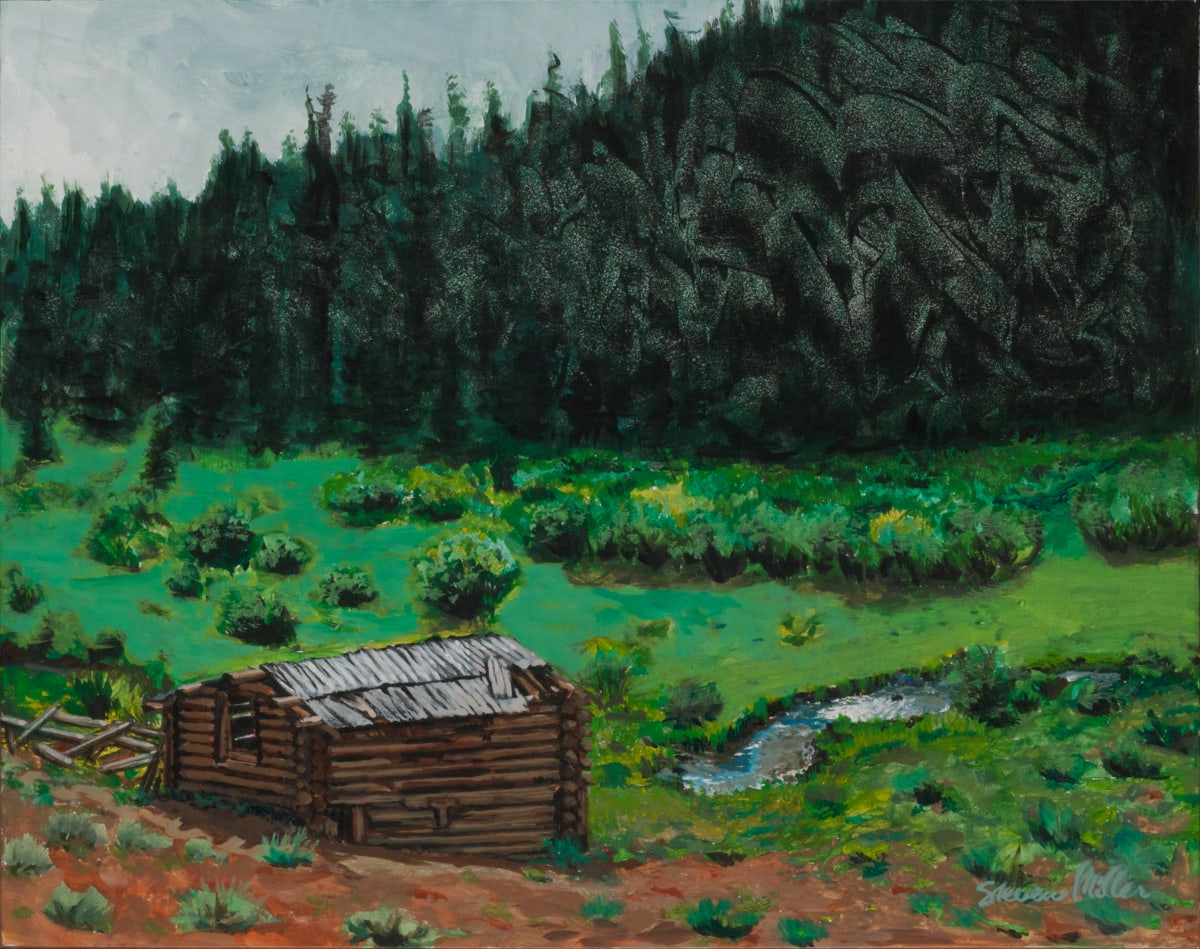 Anomaly by Steve Miller 