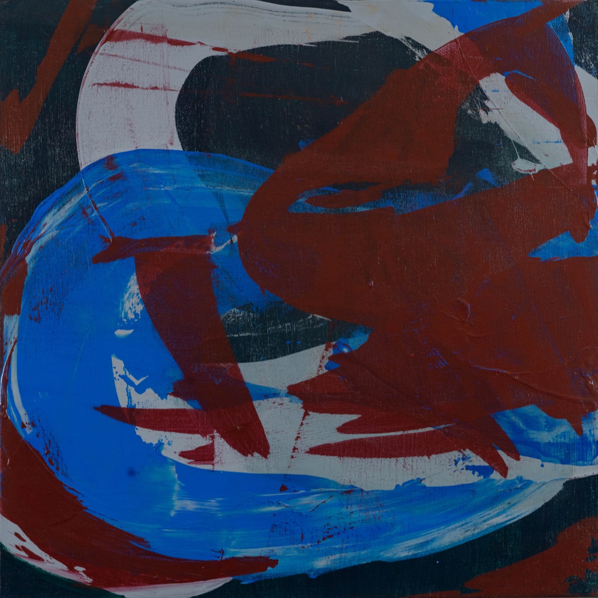 covid A5568, Image 1.
