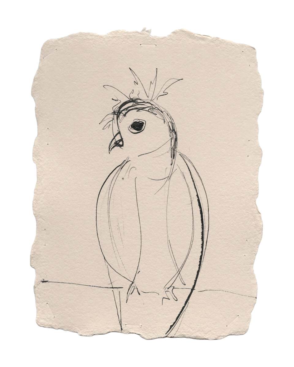 Bird (012_2025) by Erika Alonso 