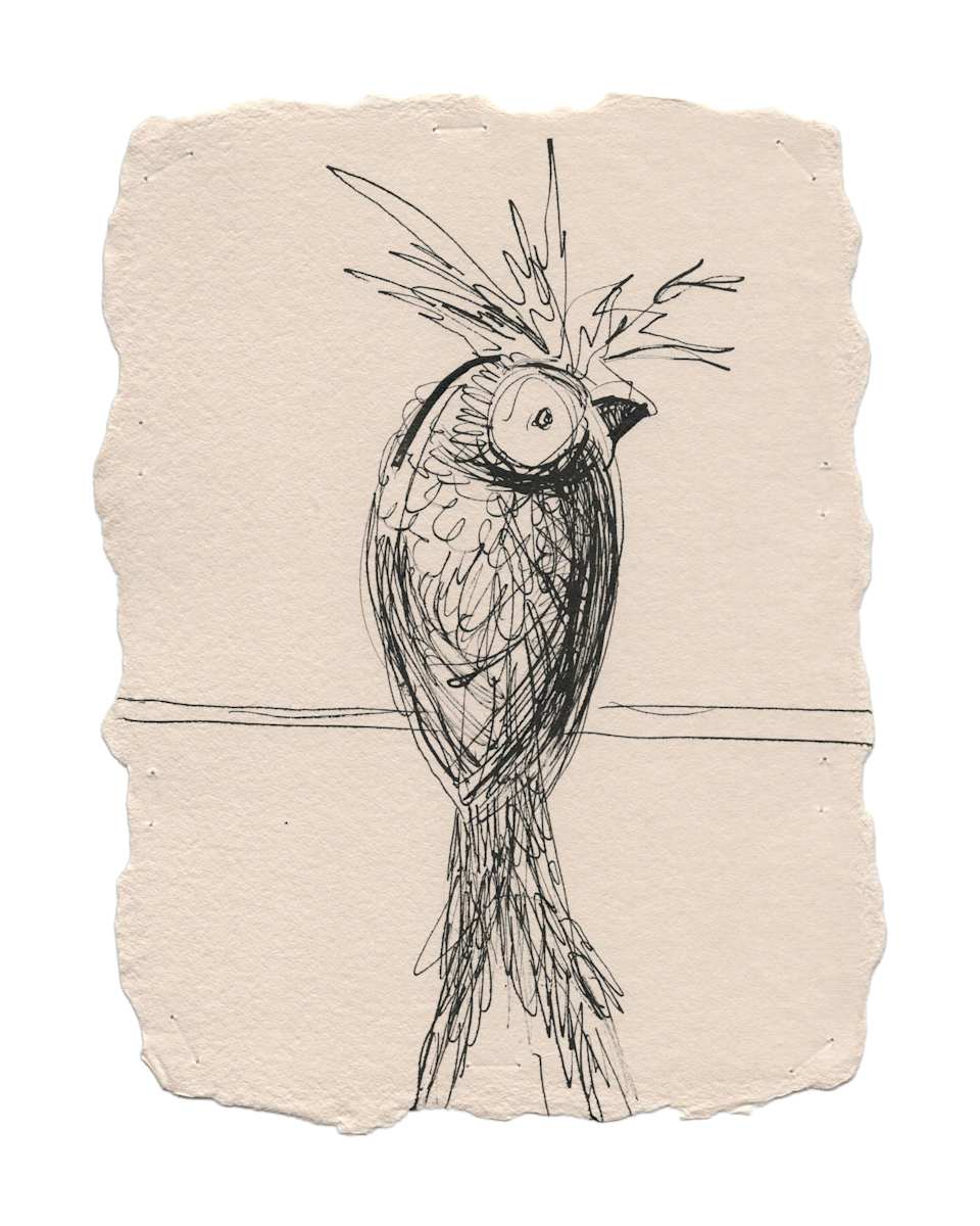 Pineapple bird by Erika Alonso, Image 1.