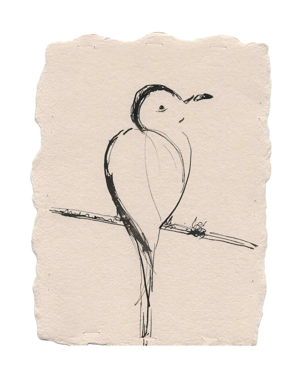 Simple bird by Erika Alonso, Image 1.