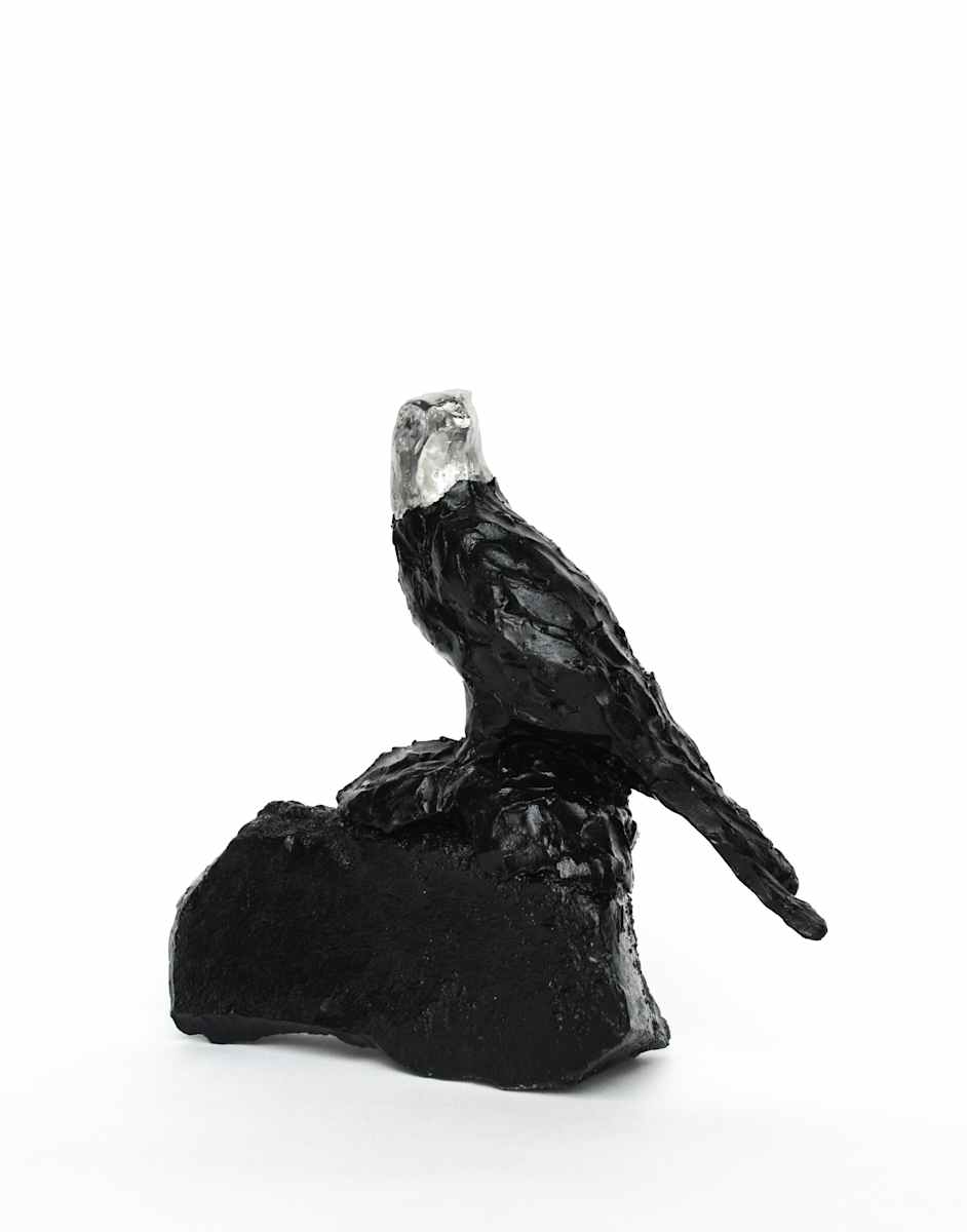 Untitled (Alchemy Eagle) by Chantal Powell , Image 2.