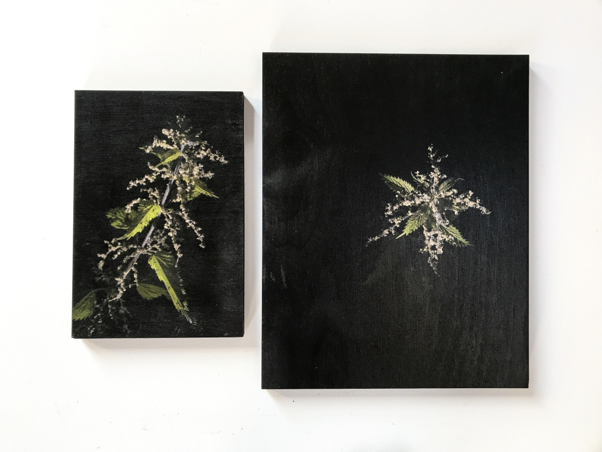 Night Nettles (pair 1) by Chantal Powell  