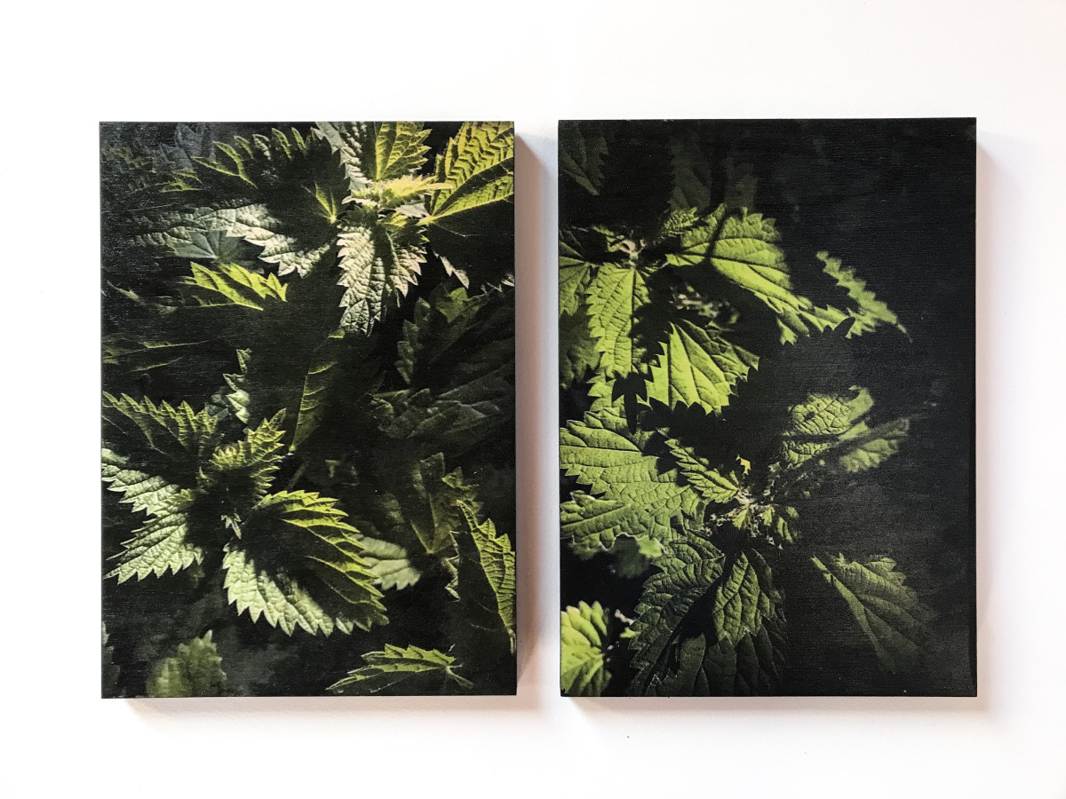 Night Nettles (pair 2) by Chantal Powell  