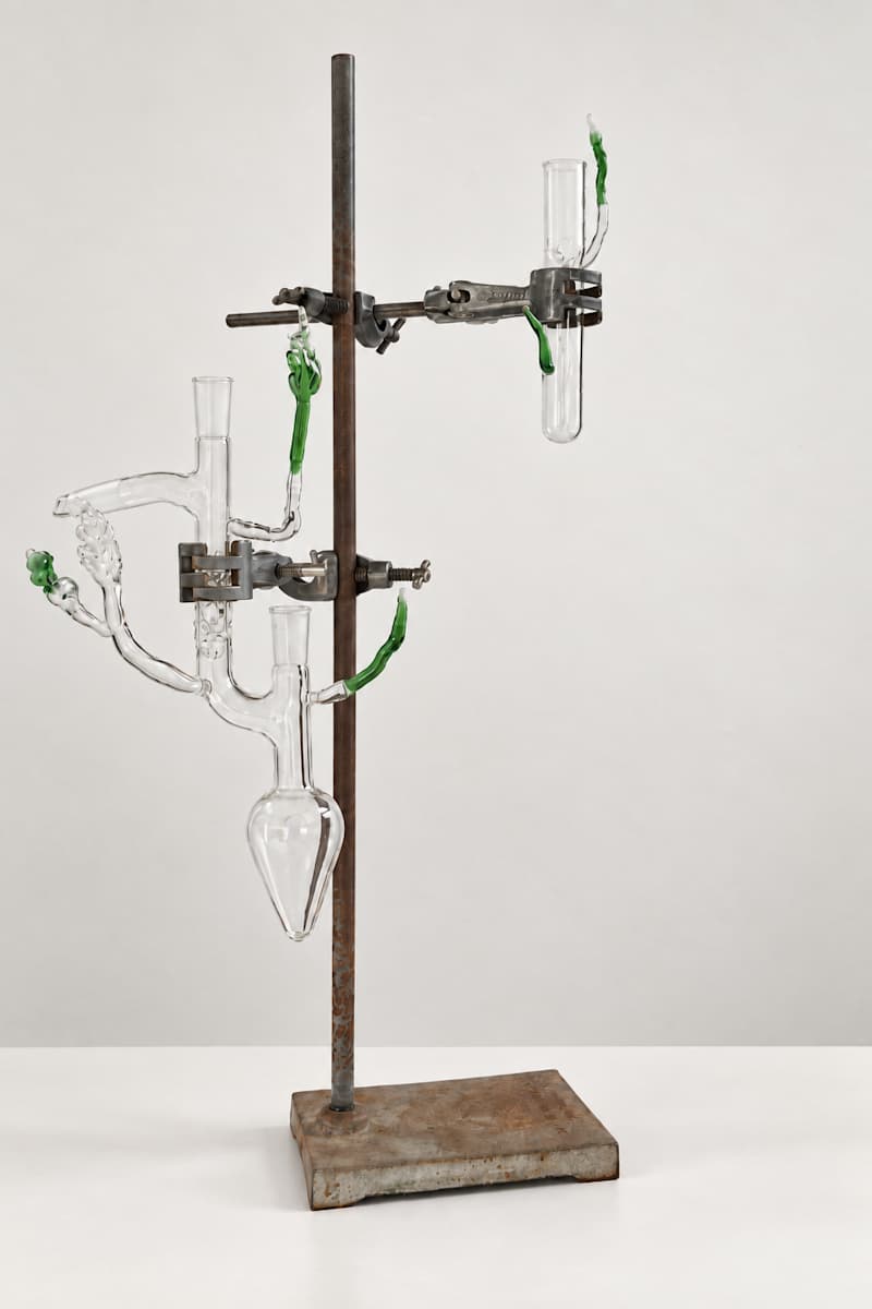 Propagation by Chantal Powell, Image 1.