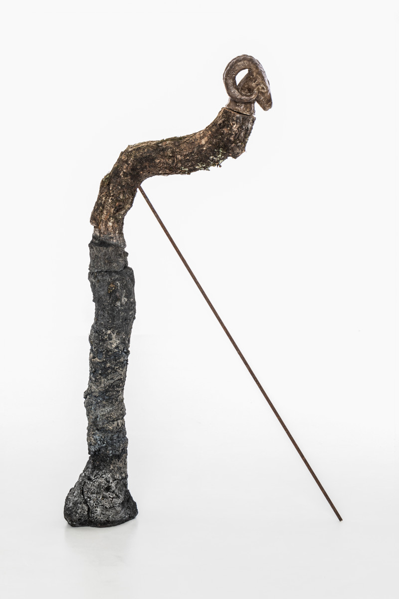 Totem V (Ram) by Chantal Powell  