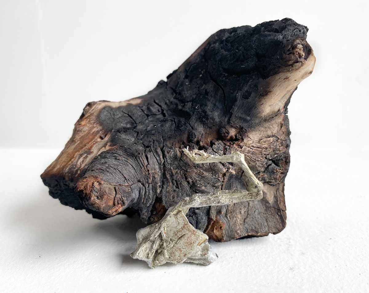 Vegetative Seed by Chantal Powell , Image 1.