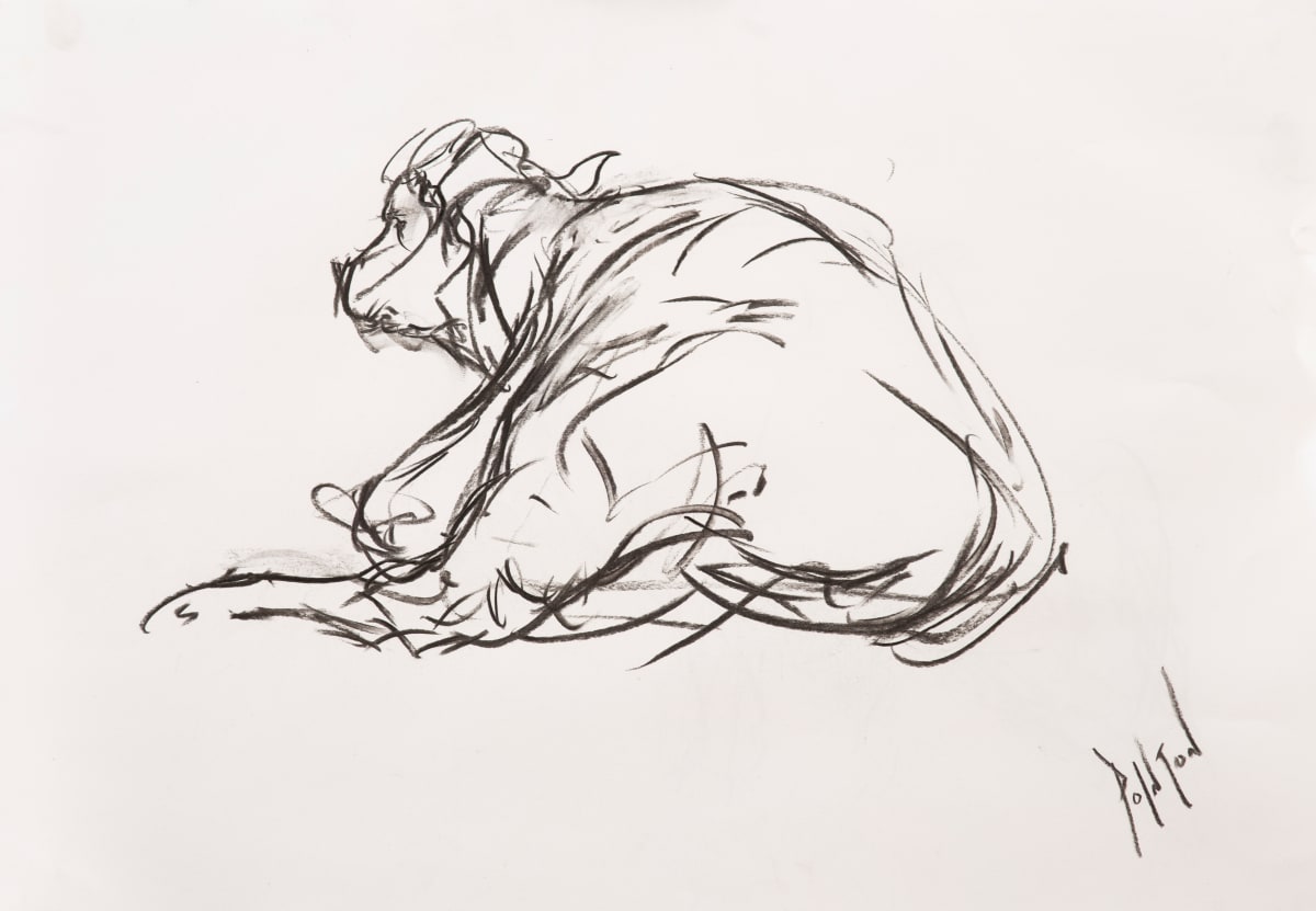 Seated Bullock 