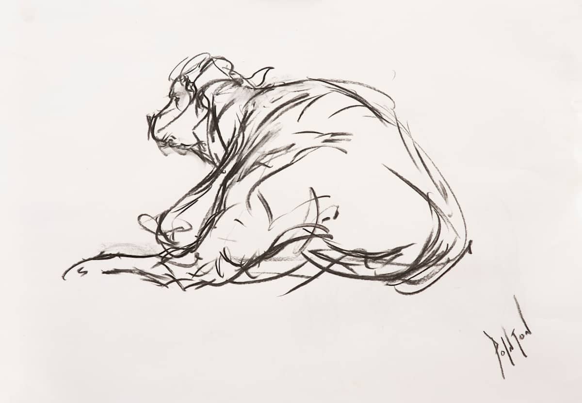 Seated Bullock, Image 1.