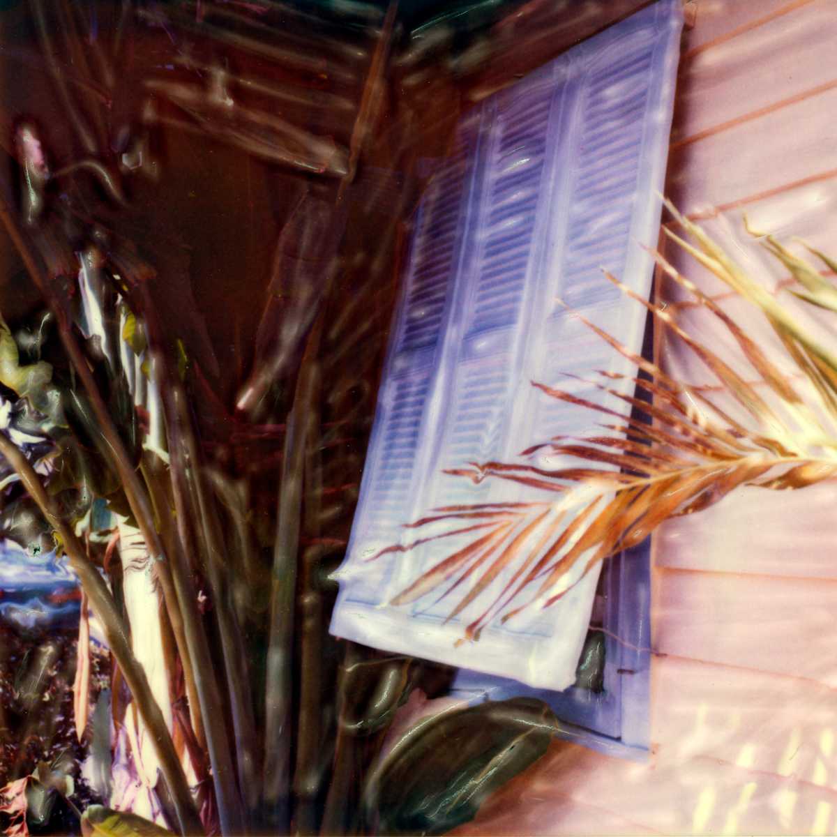 Conchy Joe's II by Rene Griffith, Image 1.