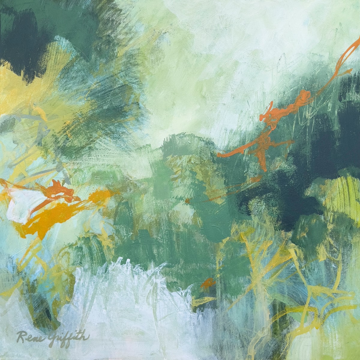 Misty Morning by Rene Griffith 