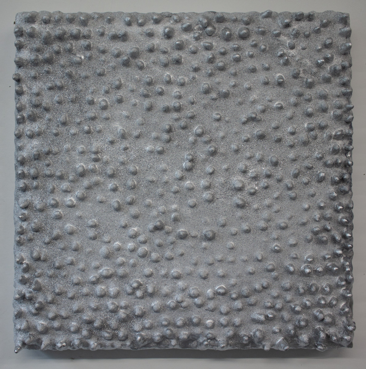 Silver Lunar Landing by Carson Fox 