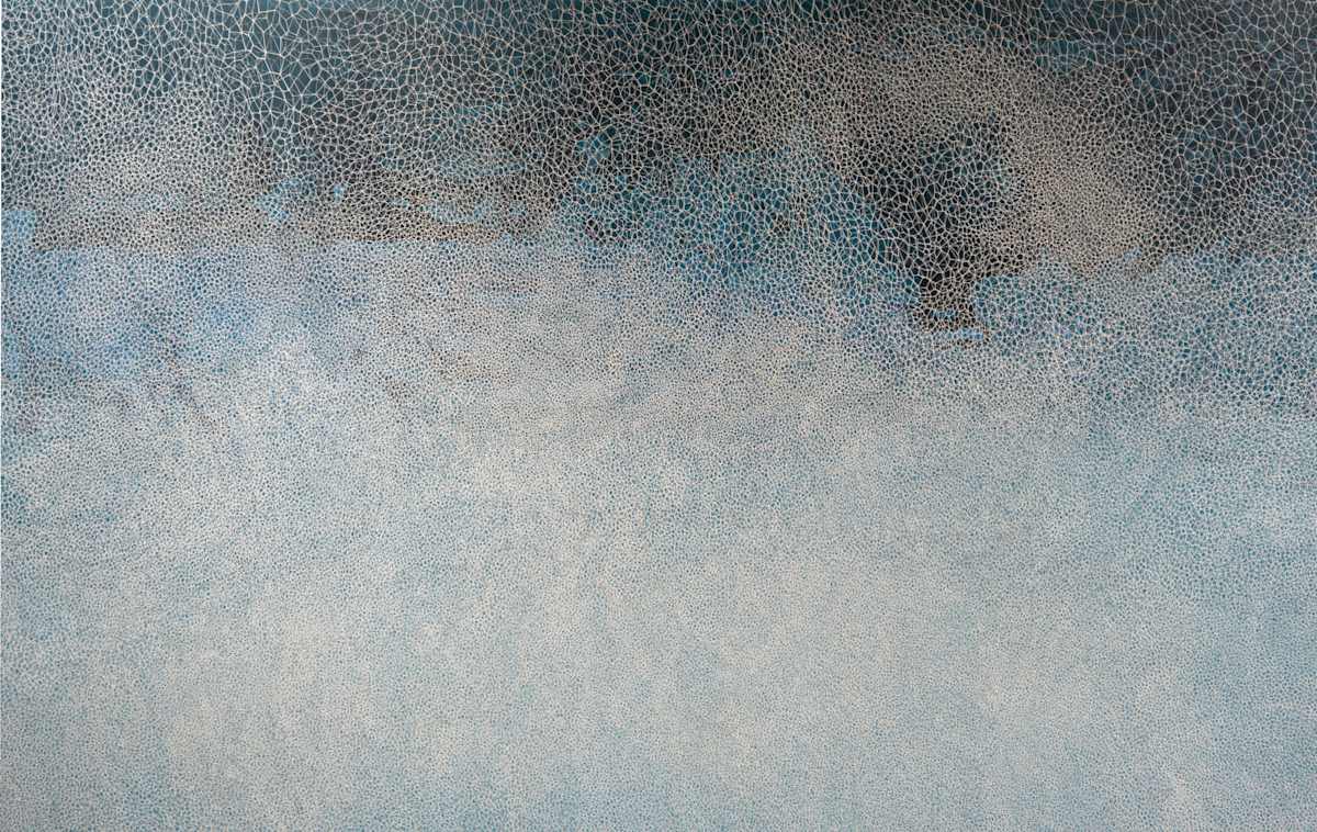 This Salted Light by Samantha Clark, Image 1.