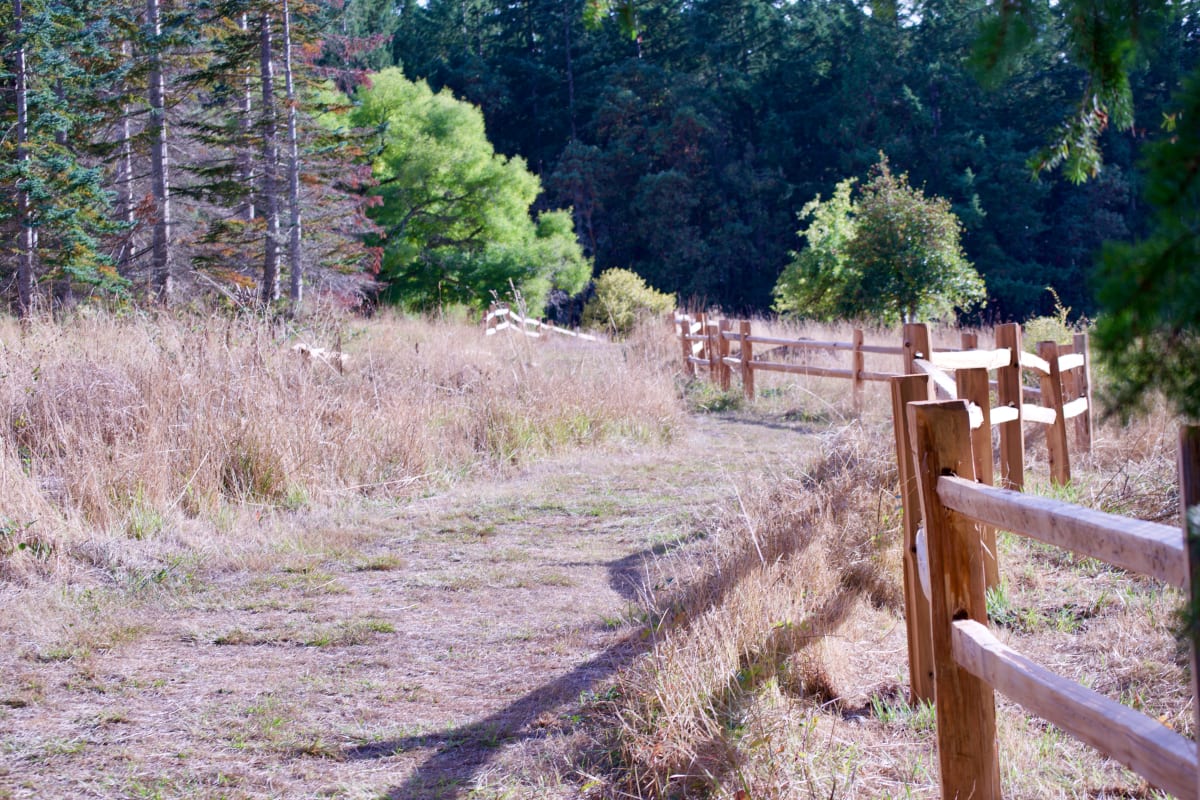 Wood Fence Guiding Path  Image: Wood Fence Guiding Path photo 6000x4000