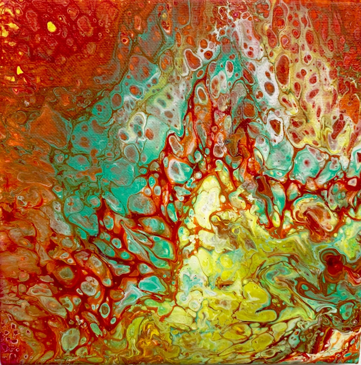 Autumn Sunset by Debbie Kappelhoff 