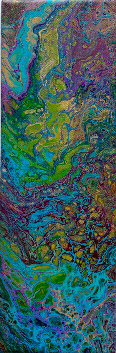 Paua Shell Slice by Debbie Kappelhoff, Image 3.