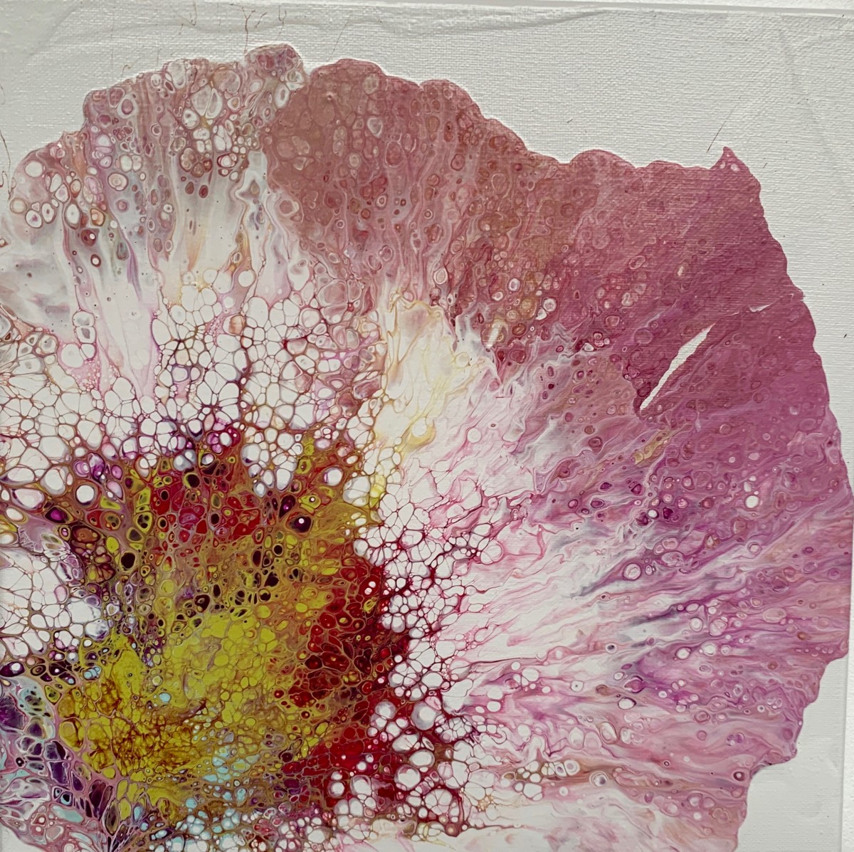 Pretty Pink Fan by Debbie Kappelhoff 