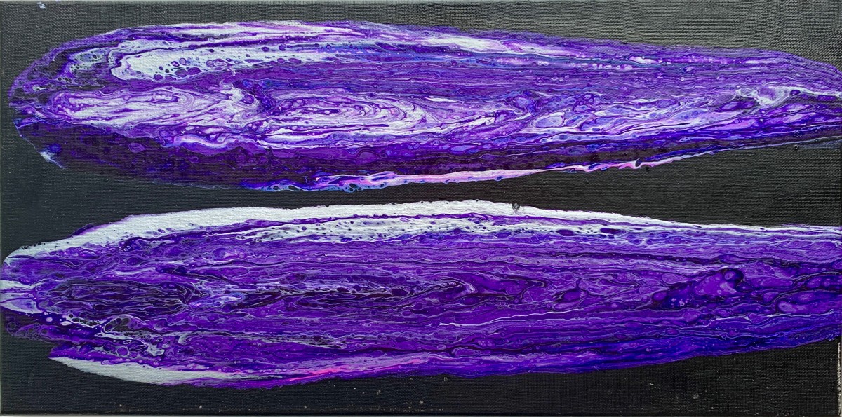 Purple Razor Clam by Debbie Kappelhoff 