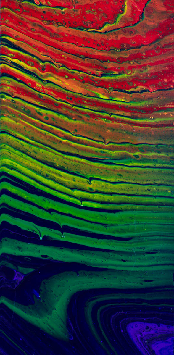 Rainbow Pride II by Debbie Kappelhoff, Image 2.
