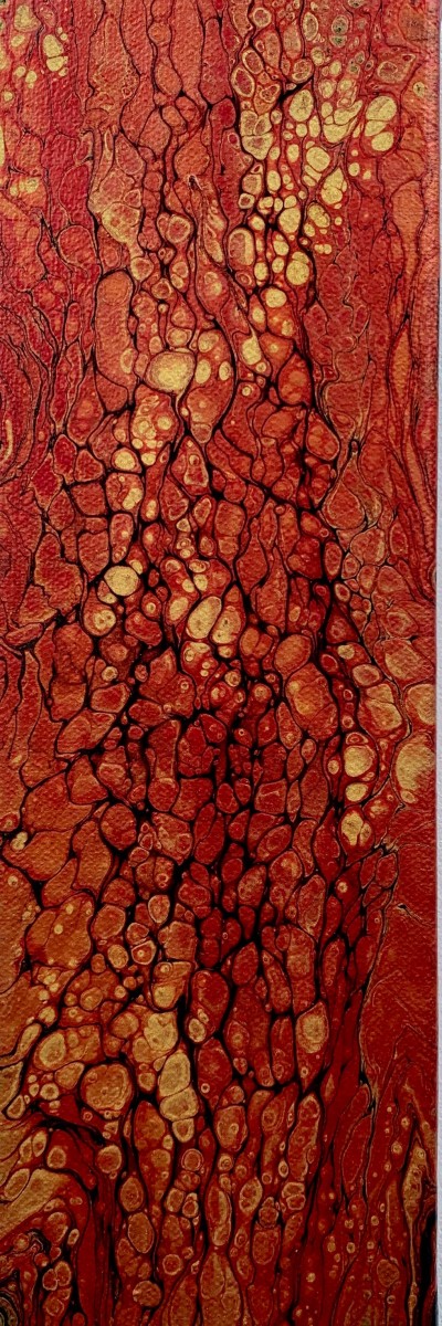 Redwood Bark by Debbie Kappelhoff 