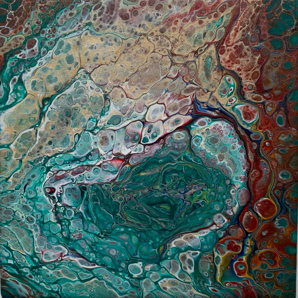Tide Pool by Debbie Kappelhoff, Image 2.