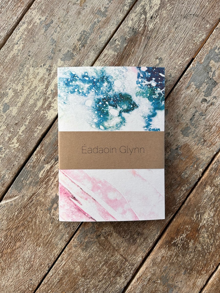 2024 Diary by Éadaoin Glynn 