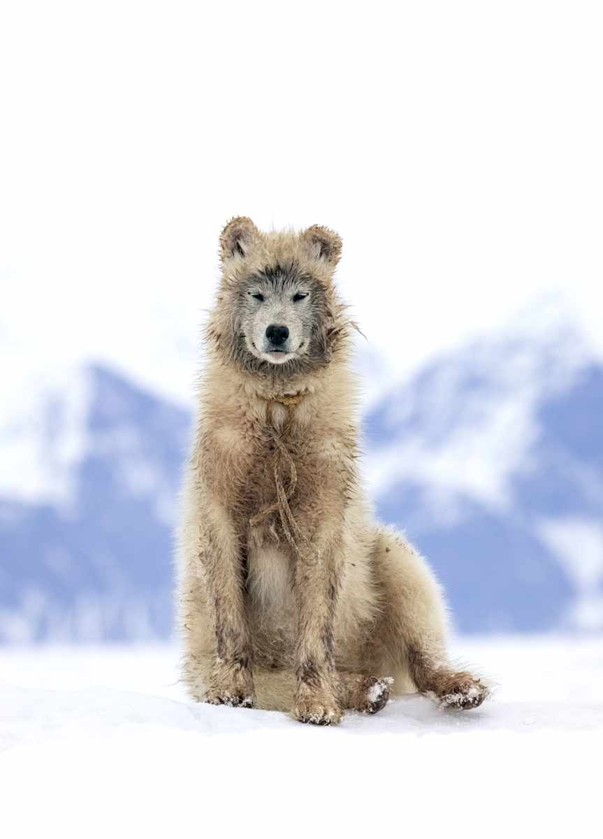 Remembering 22 (part II) 1/12  24X36" by Guadalupe Laiz | Gallery Space 